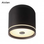 Потолочный светильник Aisilan MT003 (Черный)