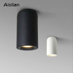 Потолочный светильник Aisilan MT142 (Черный)