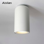 Потолочный светильник Aisilan MT142 (Белый)